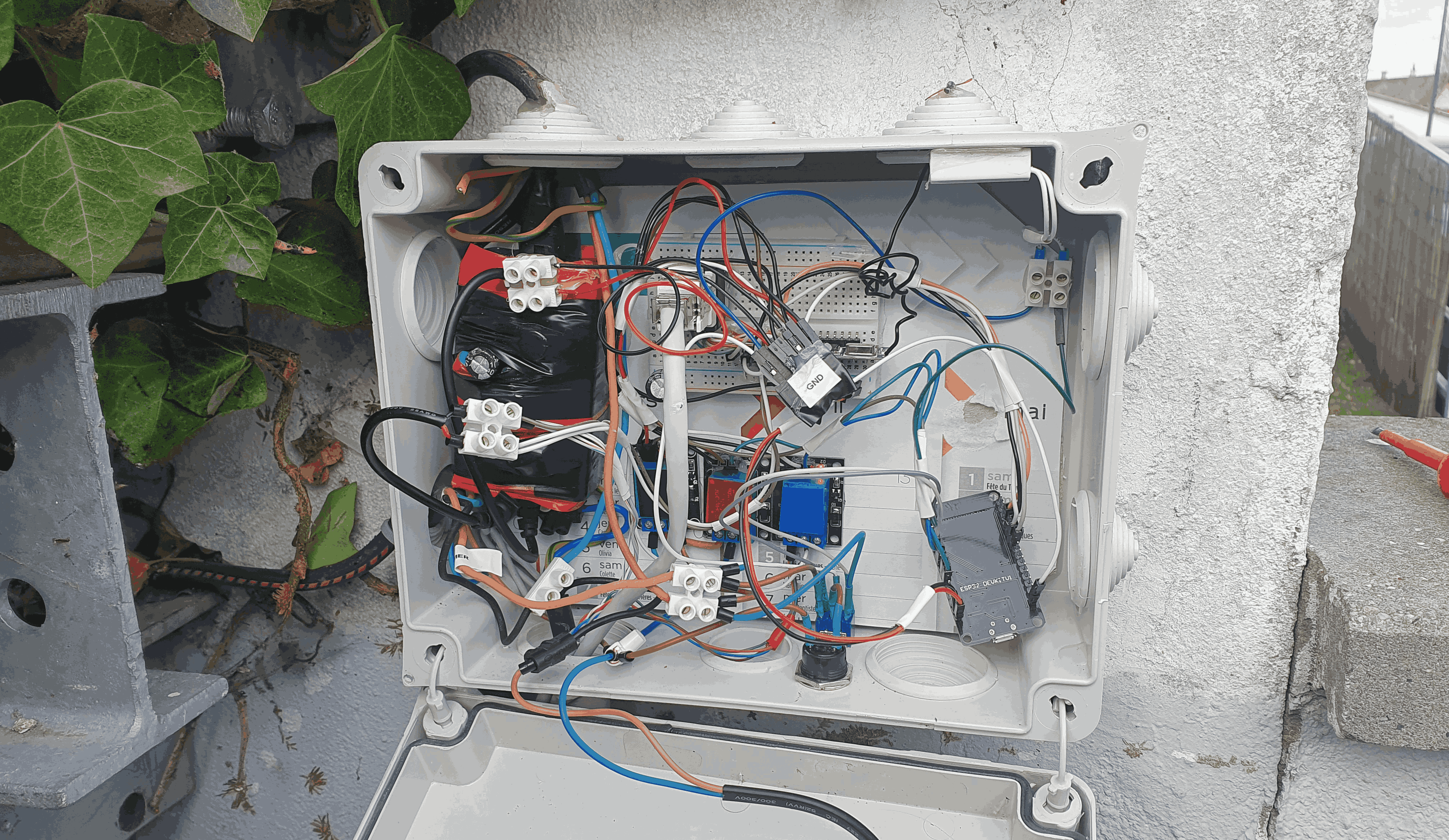 Prototype wired image