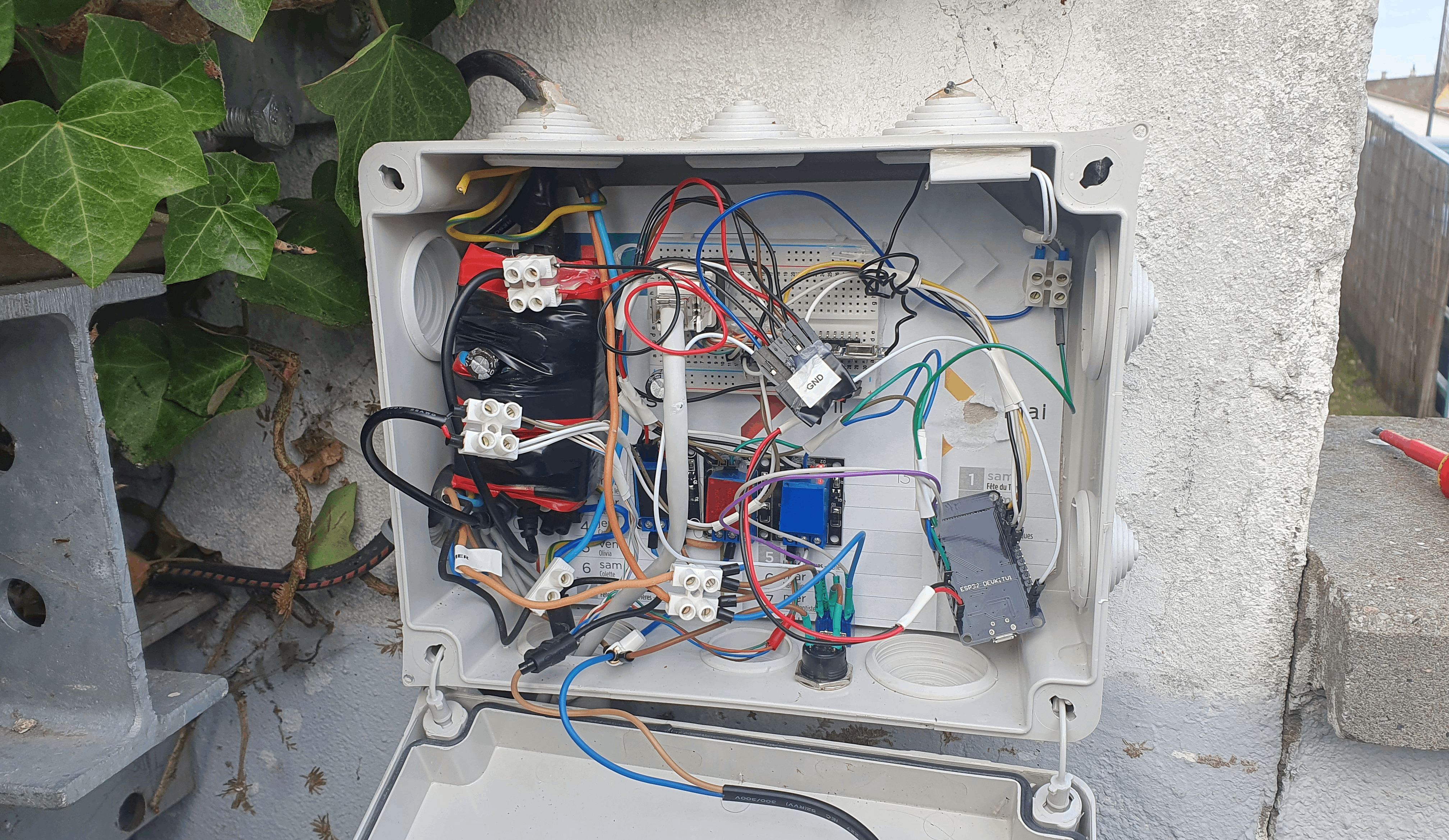 Prototype wired image